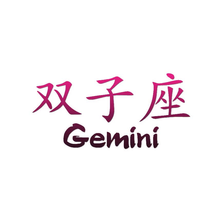 Gemini Chinese Symbols - Decal Sticker - Multiple Patterns & Size